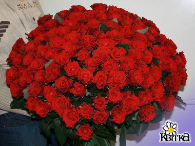 Цветочная композиция 101 роза.101 роскошная роза сделает Ваш подарок ко Дню рождения или на свадьбу просто незабываемым. Этот букет будет также уместен для поздравления с юбилеем и для признания  в любви. Высота букета 70-80 см.