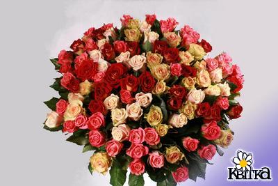 Цветочная композиция Ассорти 101. Яркий потрясающий букет из 101 розы.